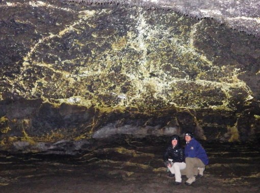 Hydrophobic bacteria light up in Golden Dome