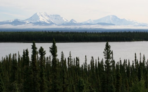 Alaska 2009 937