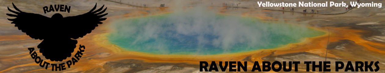 Raven About The Parks