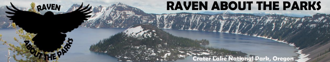 Raven About The Parks