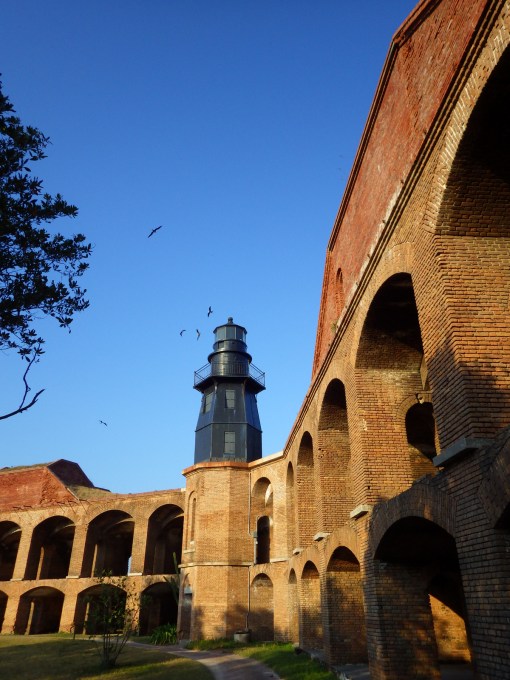 The lighthouse with Majestic Frigatebirds