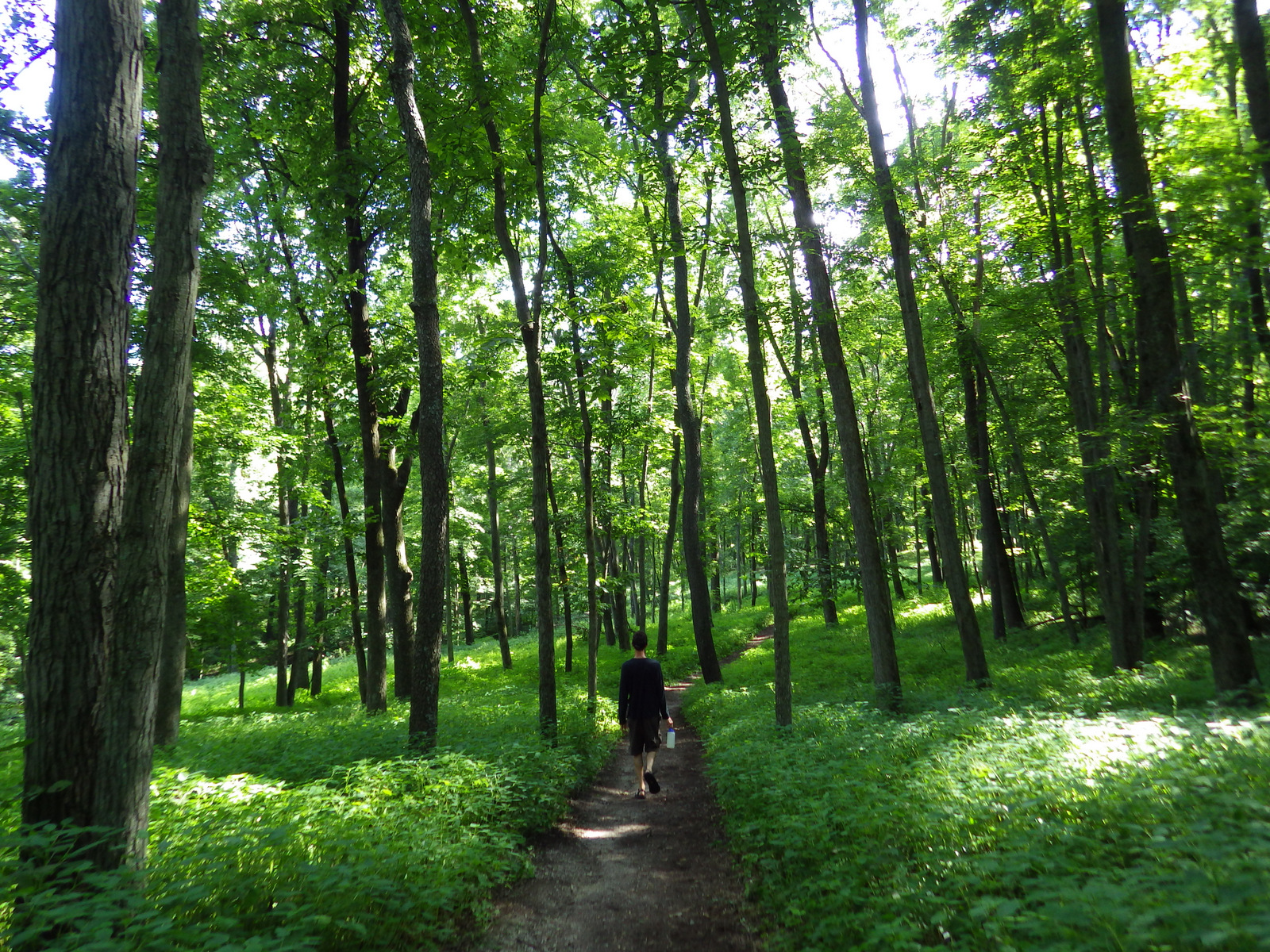 03-Northwoods 2013 1083