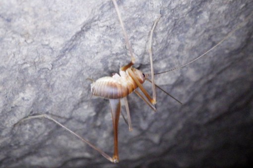 December 2014 180.JPG