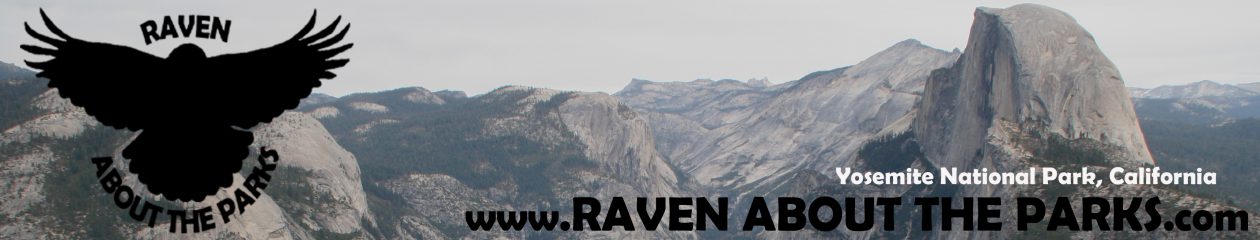 Raven About The Parks