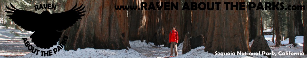 Raven About The Parks