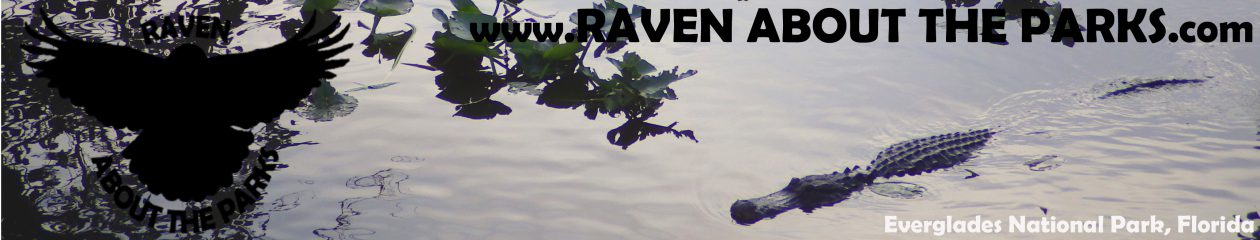 Raven About The Parks