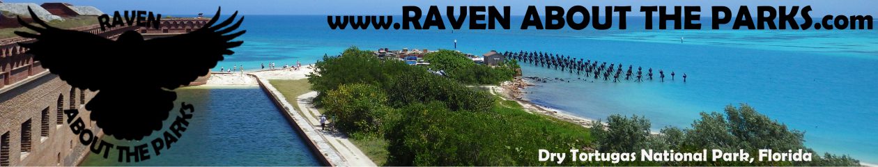 Raven About The Parks