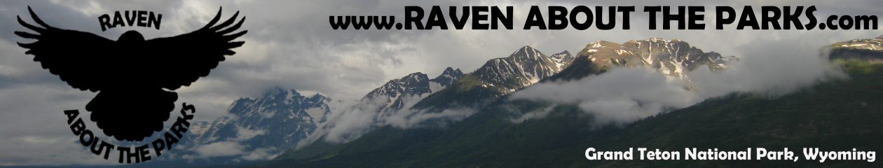 Raven About The Parks