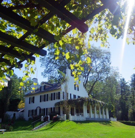 View of the house from the patio of the studio