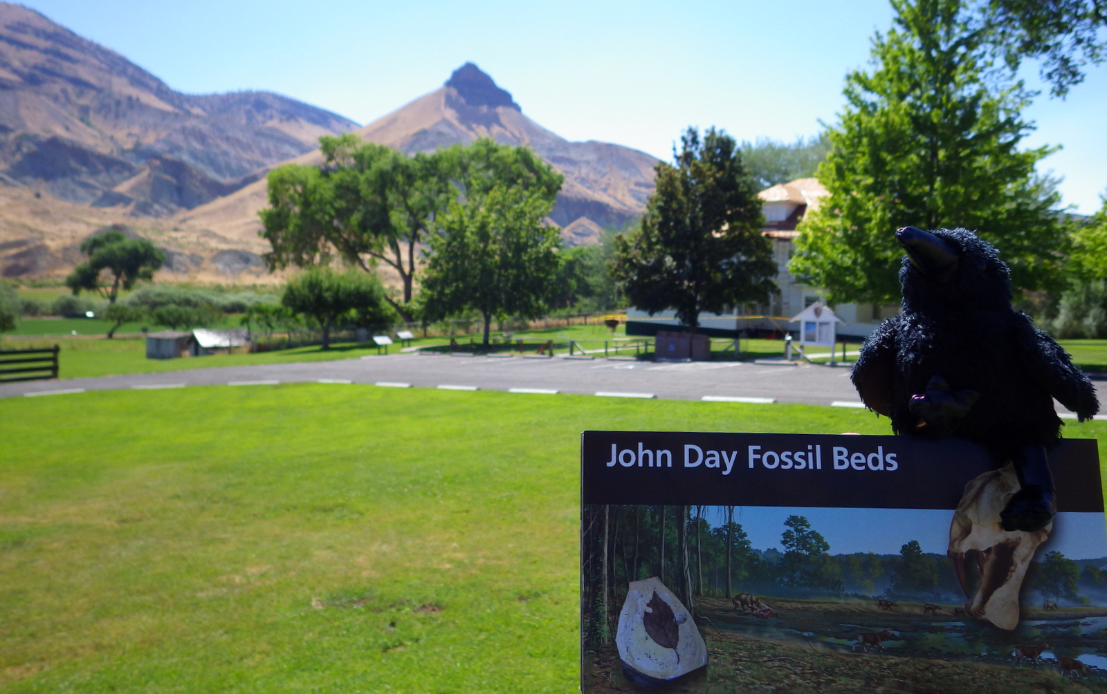 July Oregon 1777.JPG