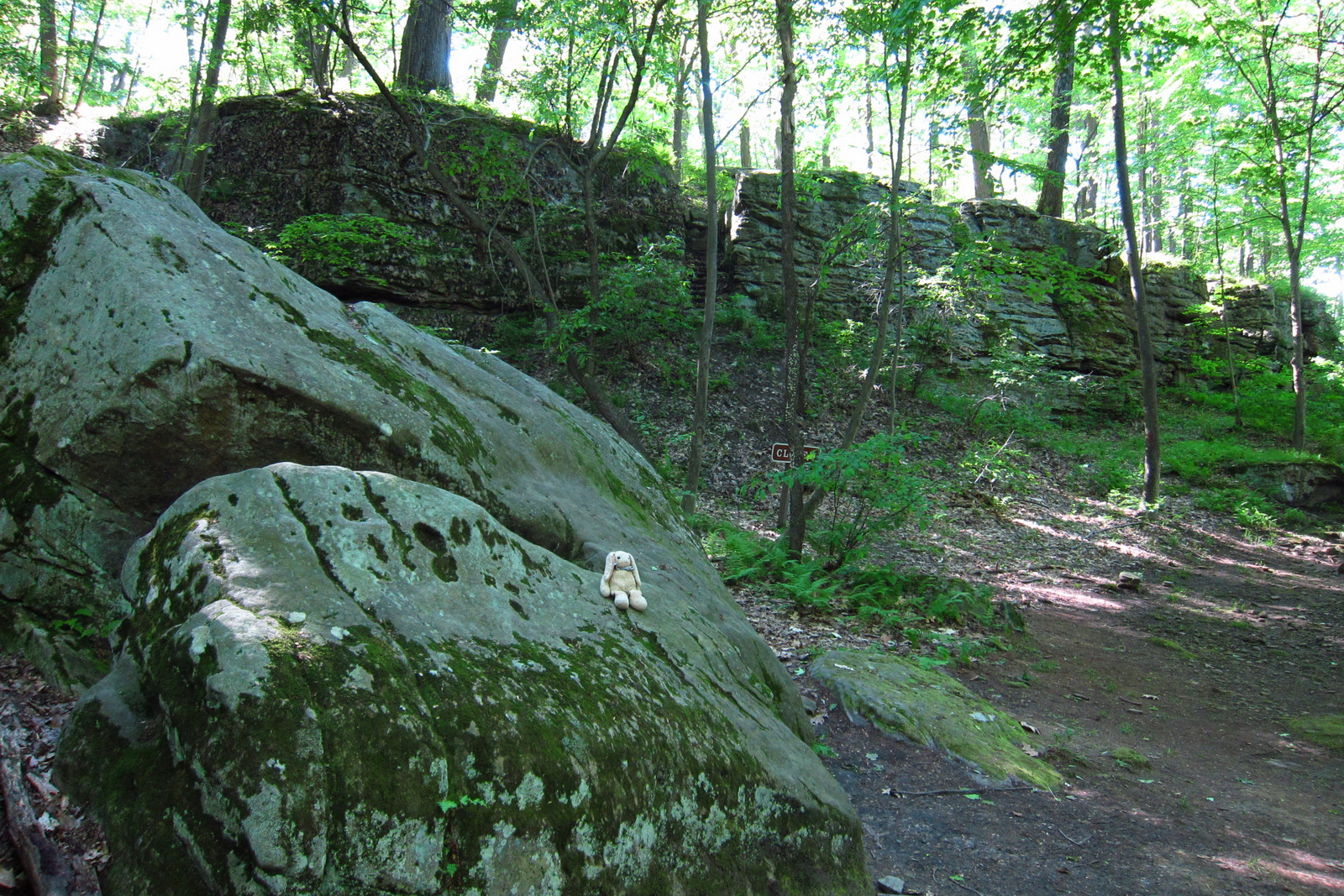 June North Carolina 072