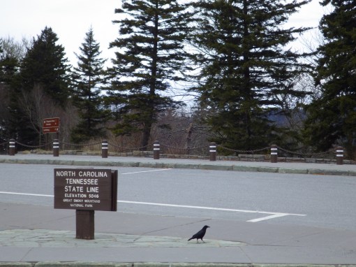 1-December 2014 259.JPG