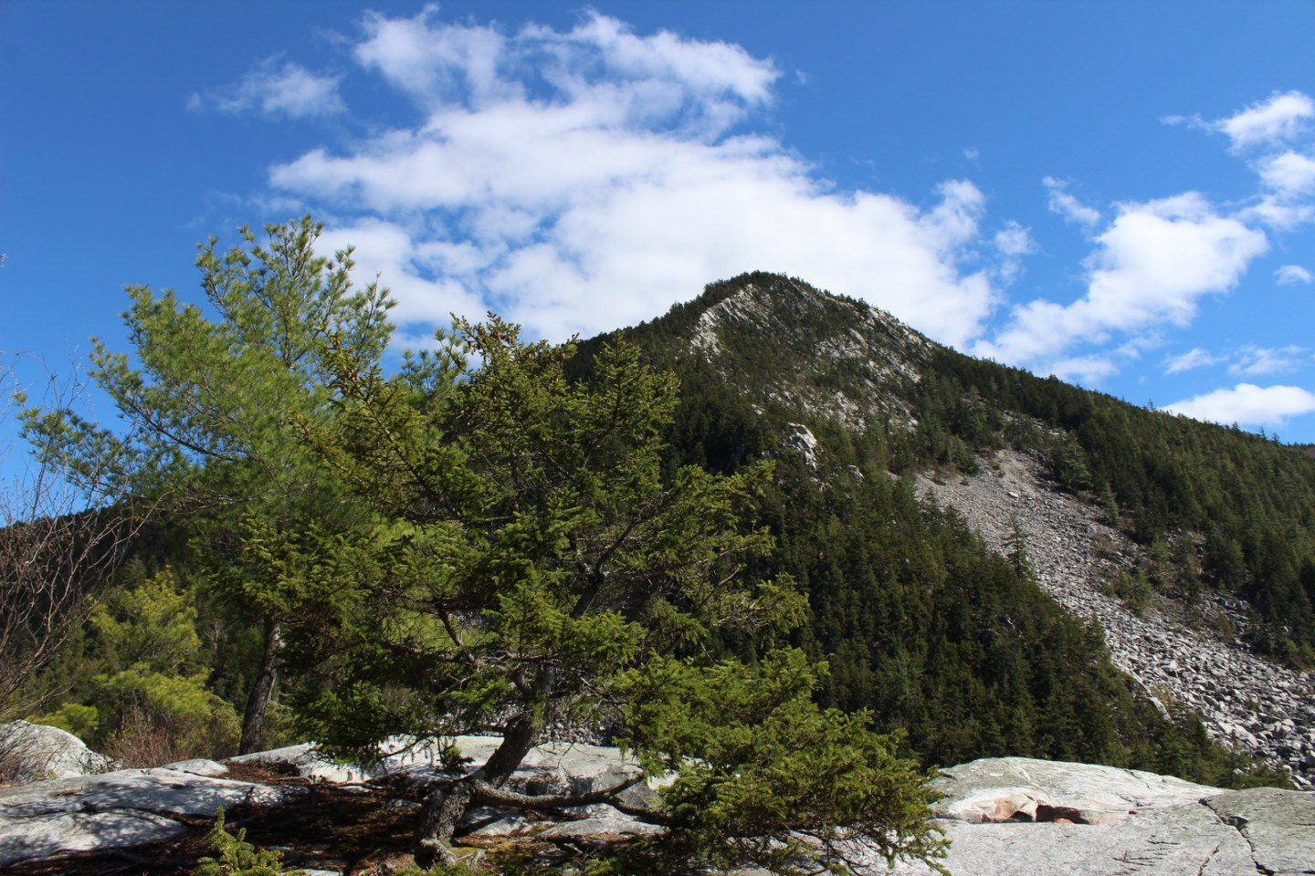 White Rocks Western Riding Rda White Rocks National Recreation Area | Raven About The Parks