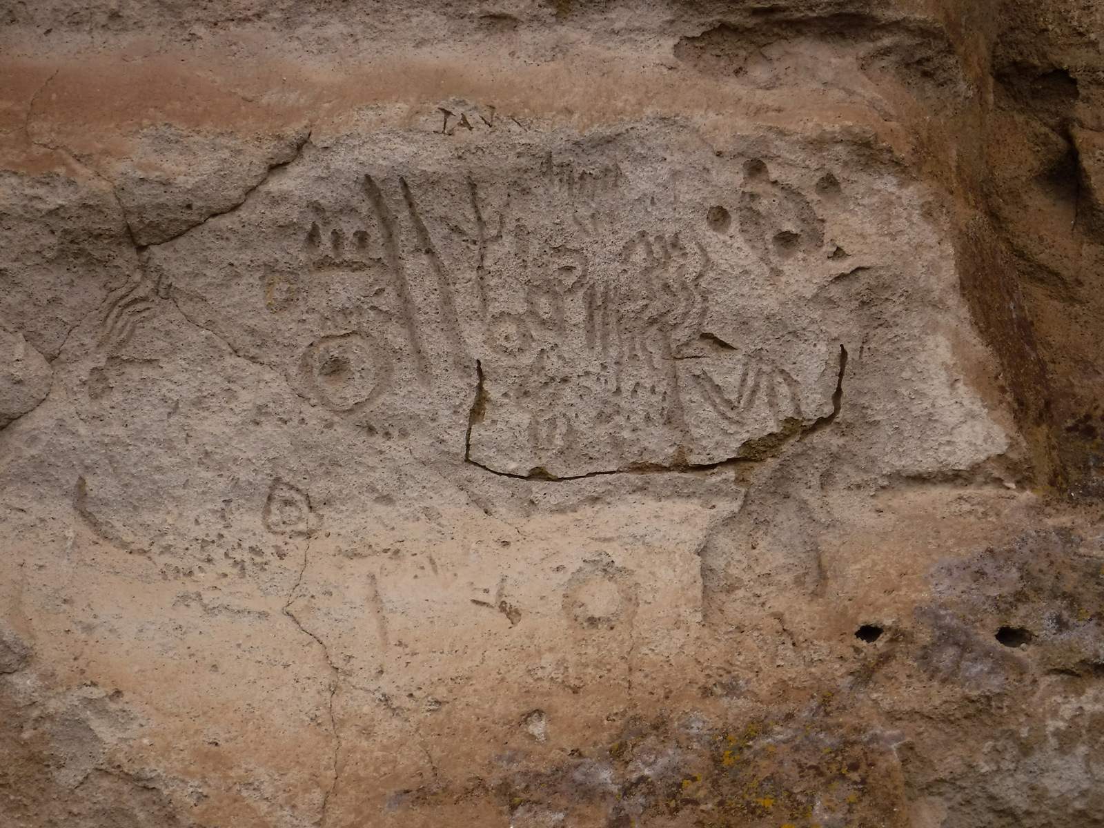 June 2022 Oregon 259