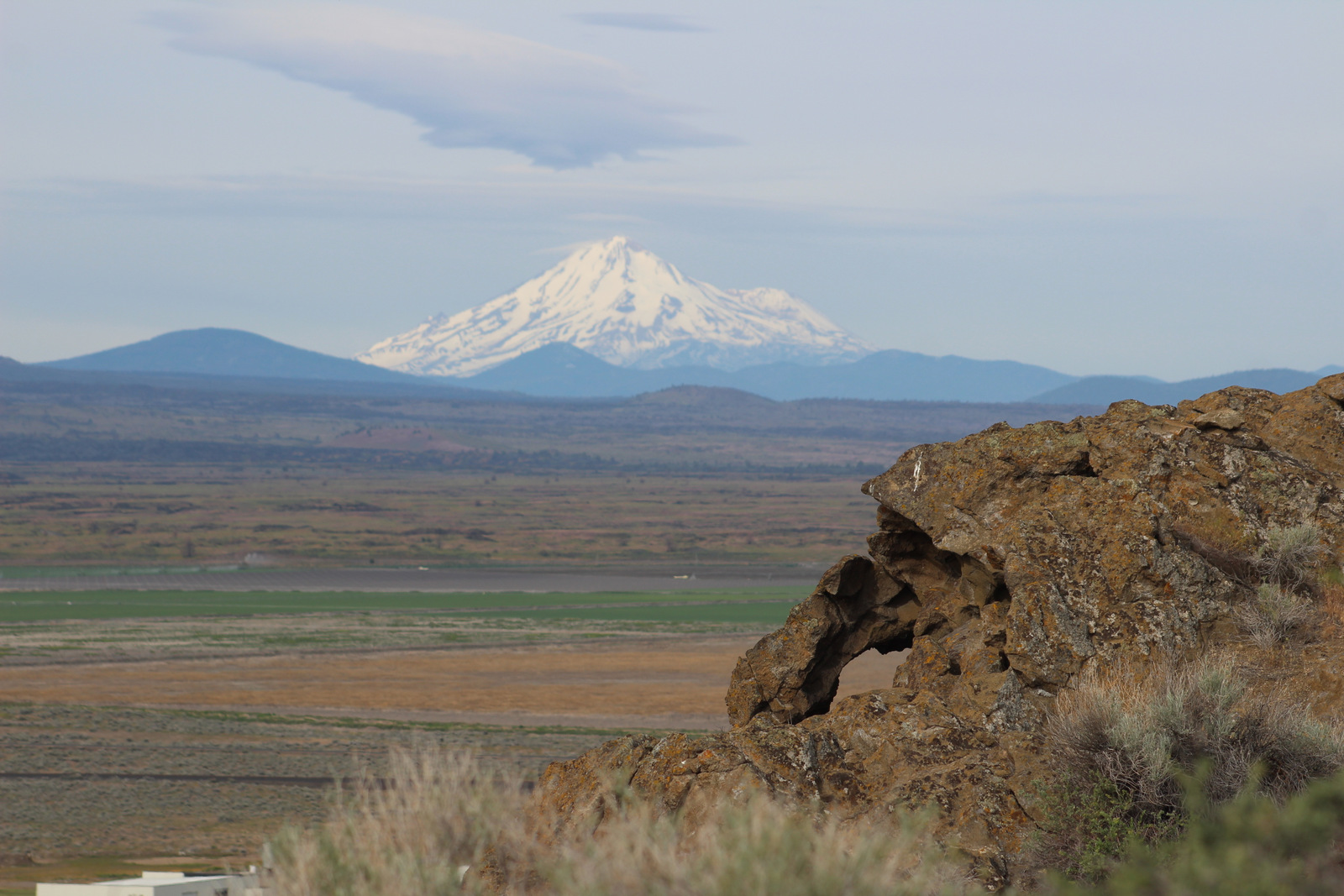 June 2022 Oregon 831