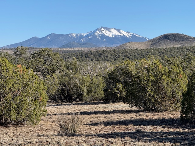 Arizona hill's Arizona Trail Days 14 to 23 | Raven About The Parks