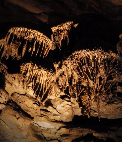 An illuminated cave wall featuring unique rock formations resembling stalactites and stalagmites, with intricate textures and shadows.